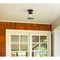 Westinghouse Fixture Ceiling Outdr SemiFlush-Mount 60W Emma Jane 7In Amb Brnz Clear Sd Glass 6113000 - alternate 7